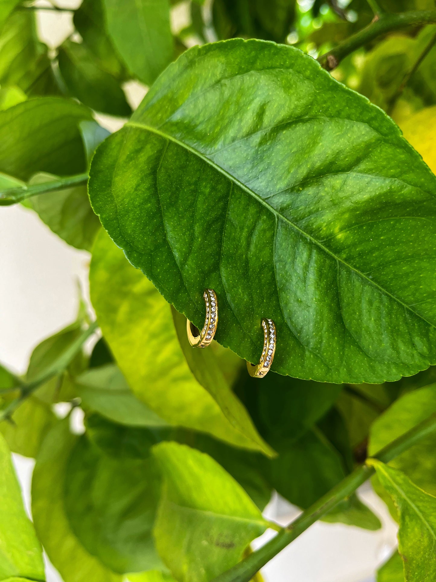 Sydney Earrings