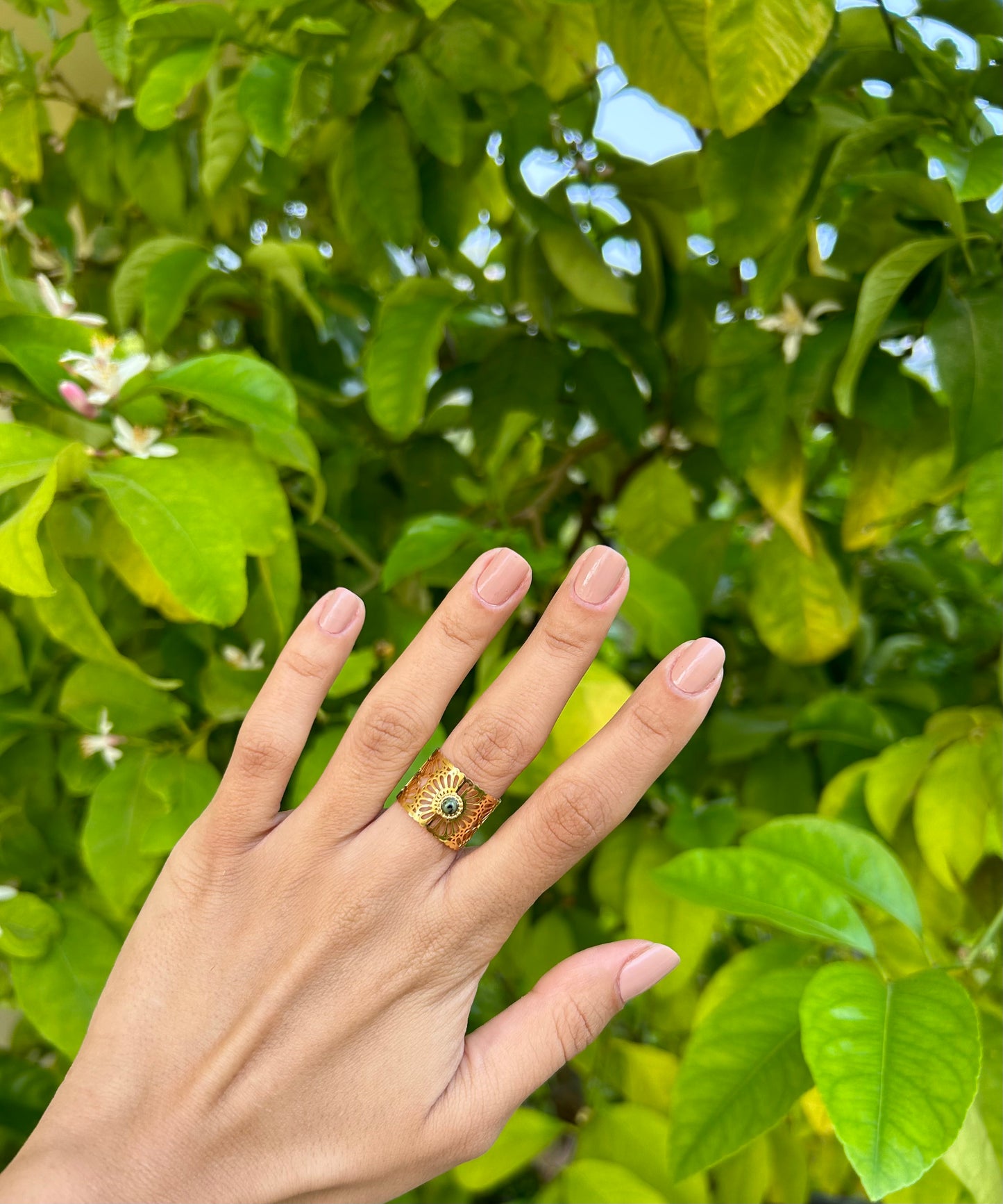 Diana Ring