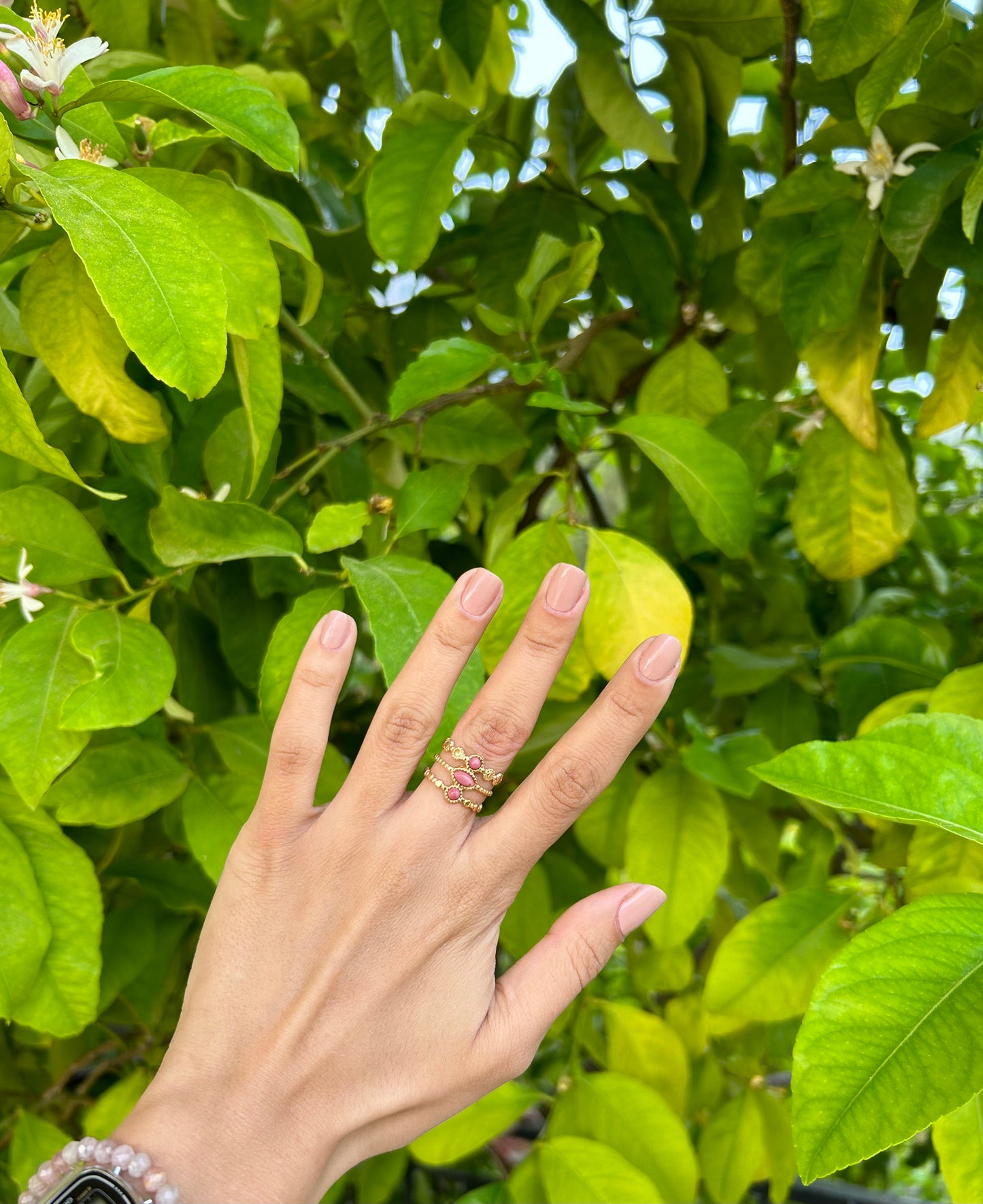 Rose Ring