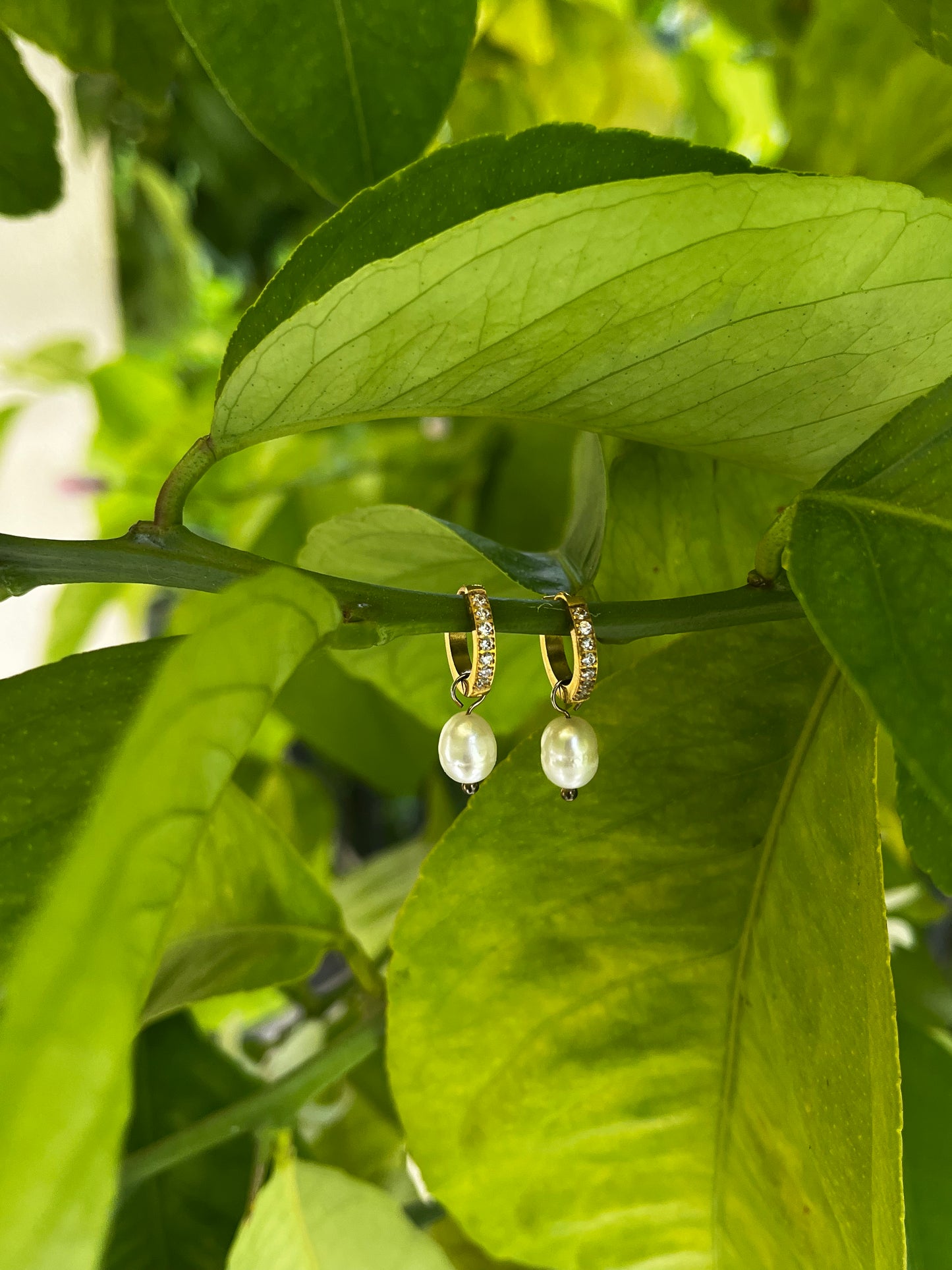Amelia Earrings