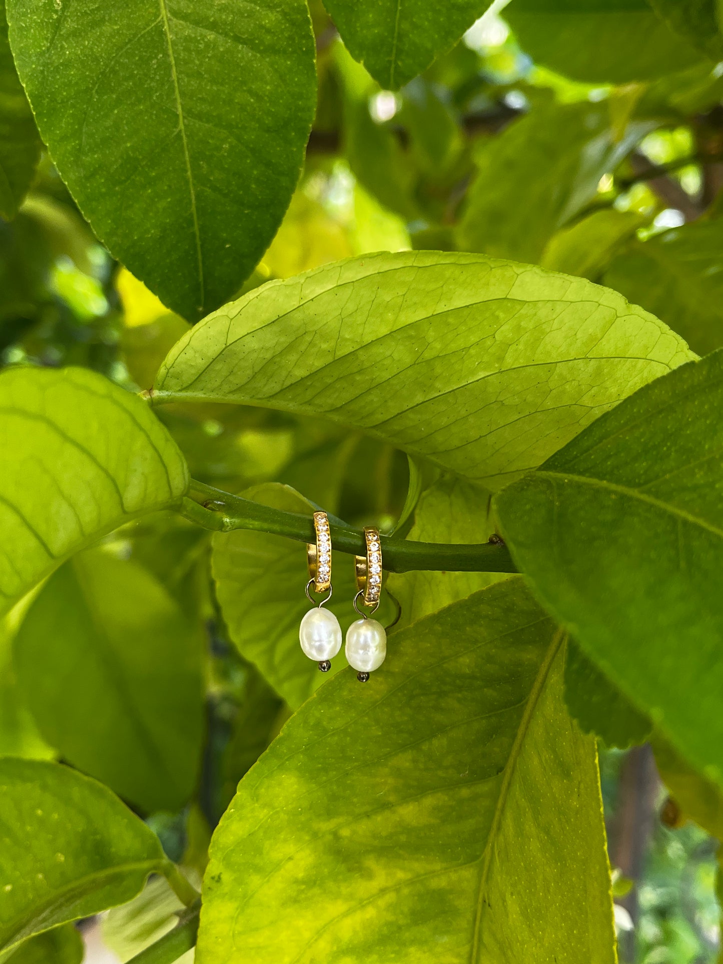 Amelia Earrings
