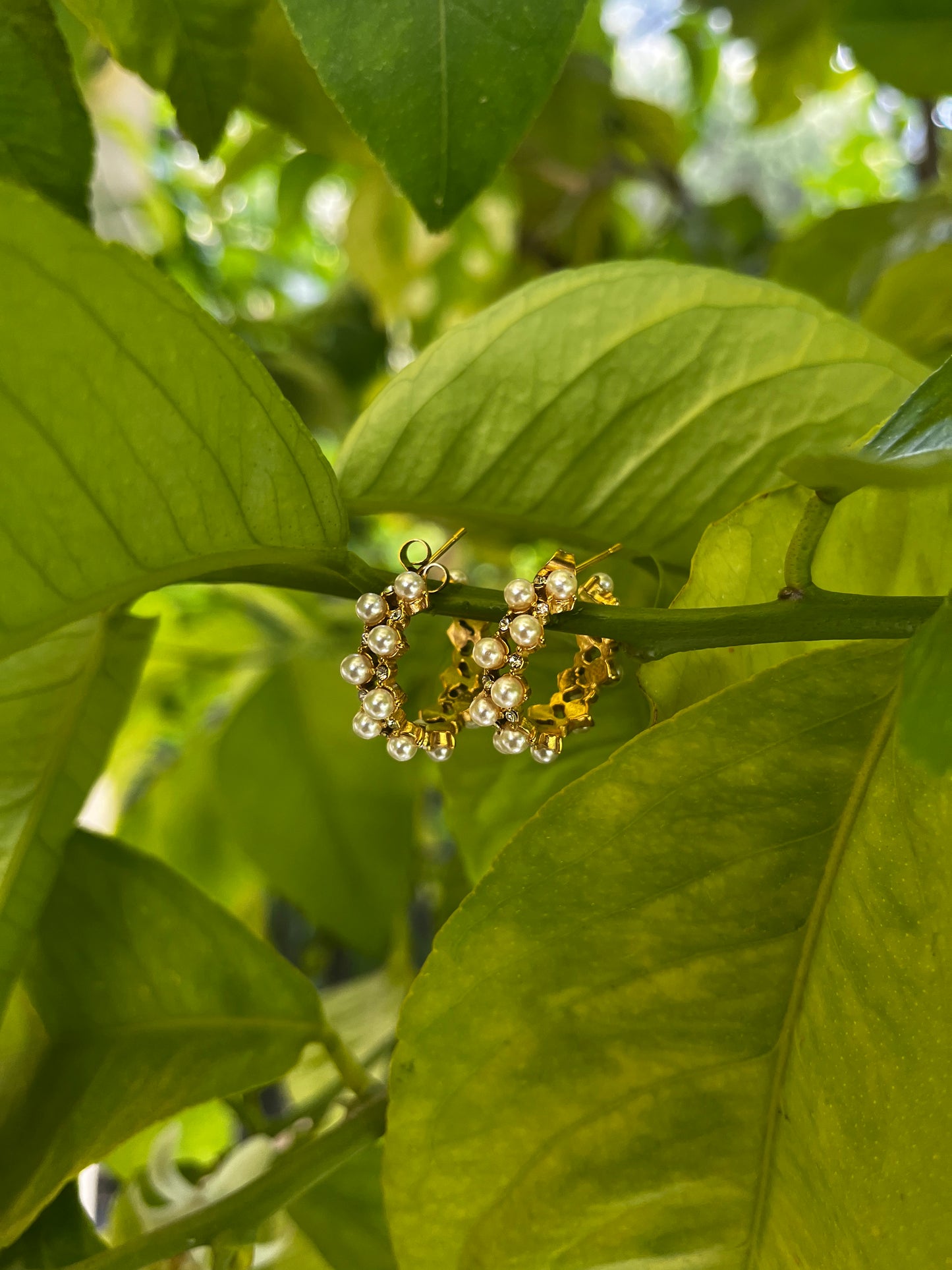Jasmine Earrings
