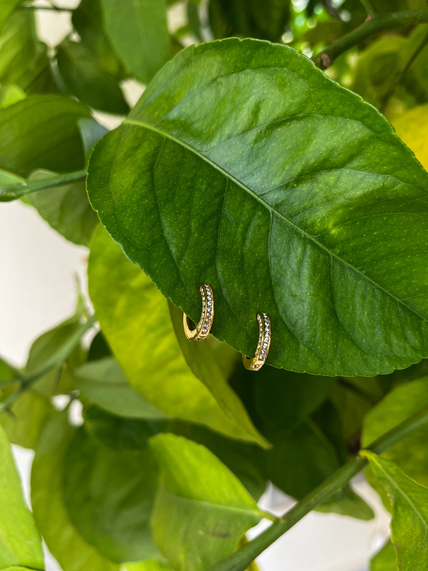 Sydney Earrings