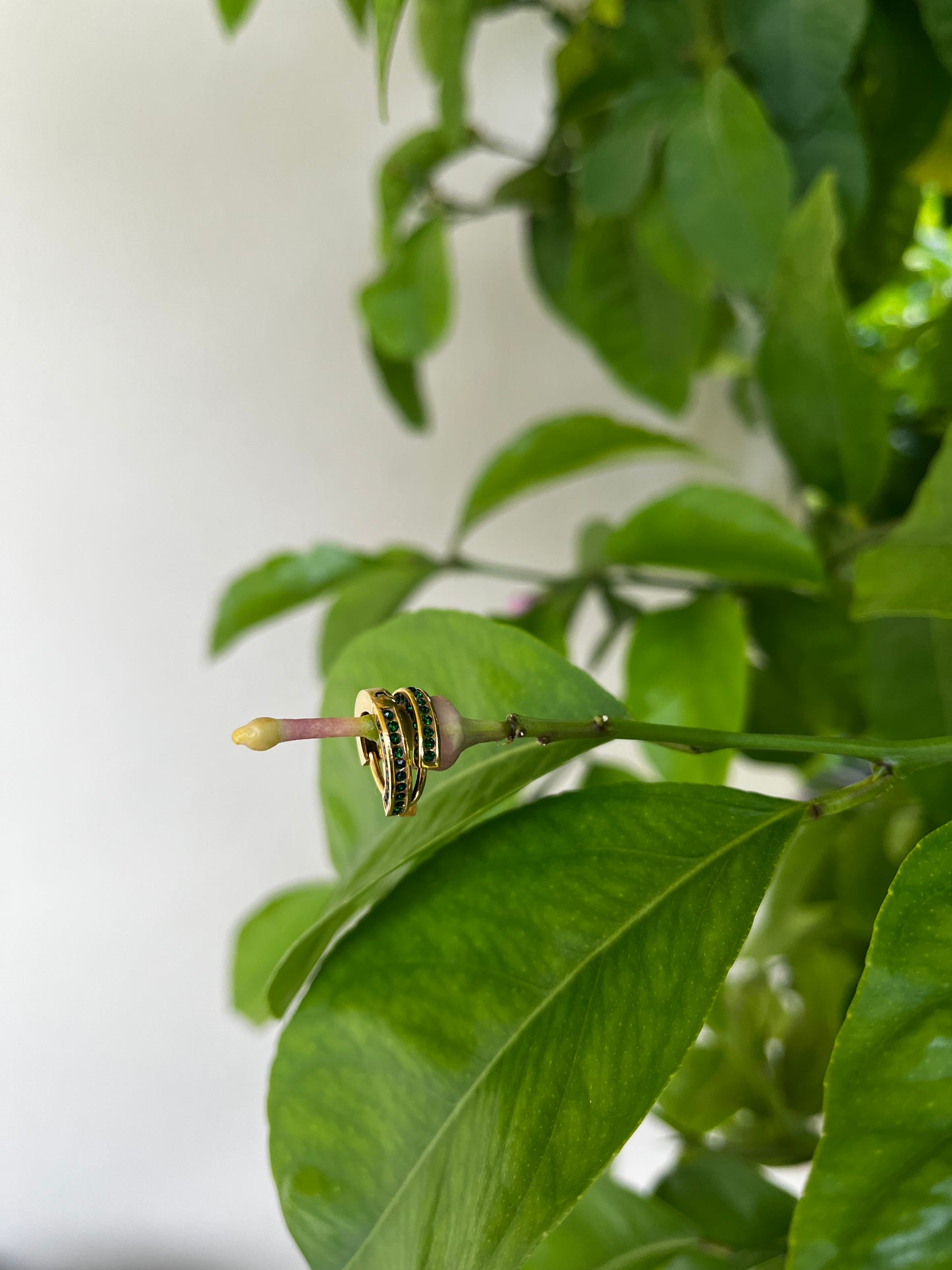Sydney Earrings