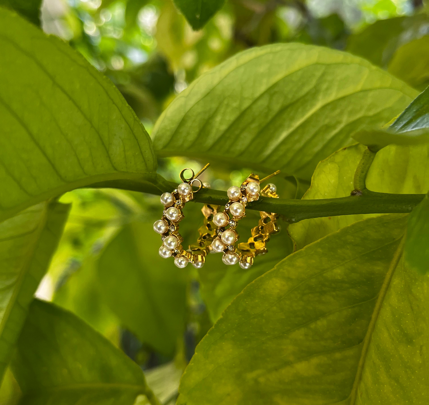 Jasmine – Gold Hoops with Pearls